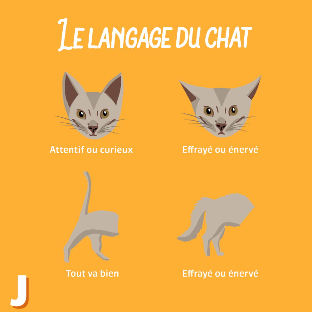 Jardiland Lieusaint Jardiland Lsnt Twitter