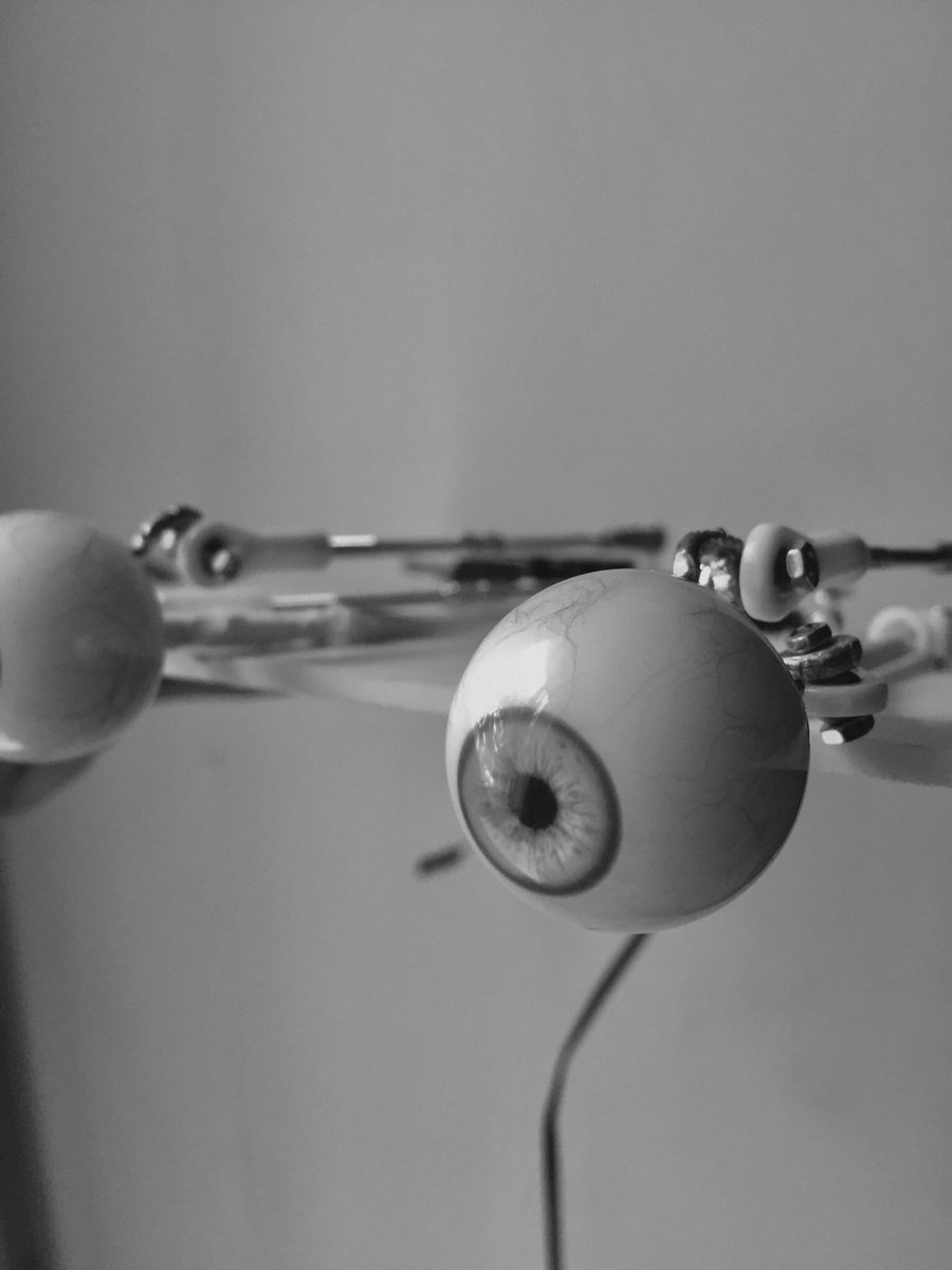jbcolombe's tweet photo. Project A: Animatronic sculpture (On Hold) https://t.co/OPJU2bi05X