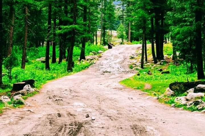 rehan_tajikzai's tweet photo. پہ تندی مِ د سجدو داغونہ نشتہ
خو پہ مخ مِ د اولس غمونہ ښکاری
دا چہ خلق ئے خود سرہ ګنړی جانہ
ماتہ دغہ څو د کار سرونہ ښکاری

To the brave people of DIR, Chitral and Bajaur. @Inayat01 ,@rahimshahUSA ,@Raeesmuhammad ,@ShadBegum 
#BuildDirChitralMotorway 
#dirojayawaz https://t.co/m2jKJlddc1