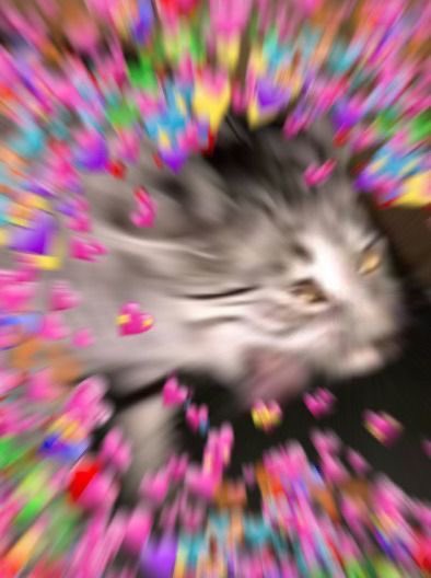 ApoloShepperd's tweet photo. @naikinai19 Mood: https://t.co/1j4Q8KHhv3