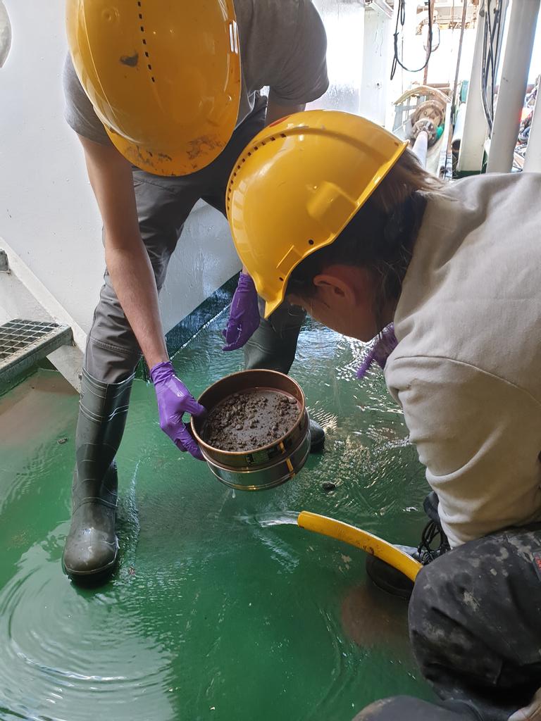 #fieldworkfriday panning for gold... but gold in this case are #foraminifera <a href="/CAGE_COE/">CAGE</a>
