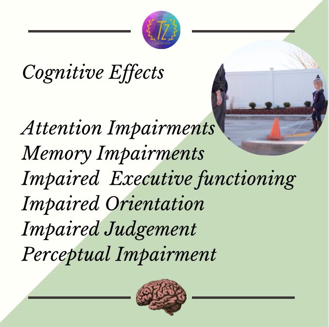 Therapizone1's tweet photo. Traumatic Brain Injury
#traumaticbraininjury #headinjury #comatreatment #lossofconsciousness #impairedcognition #perceptual #comacondition #lowarousal #comastimulationtherapy #rehabilitation #occupationaltherapy #physiotherapy #assistivetechnology  #neurology https://t.co/19tFiUvK1U