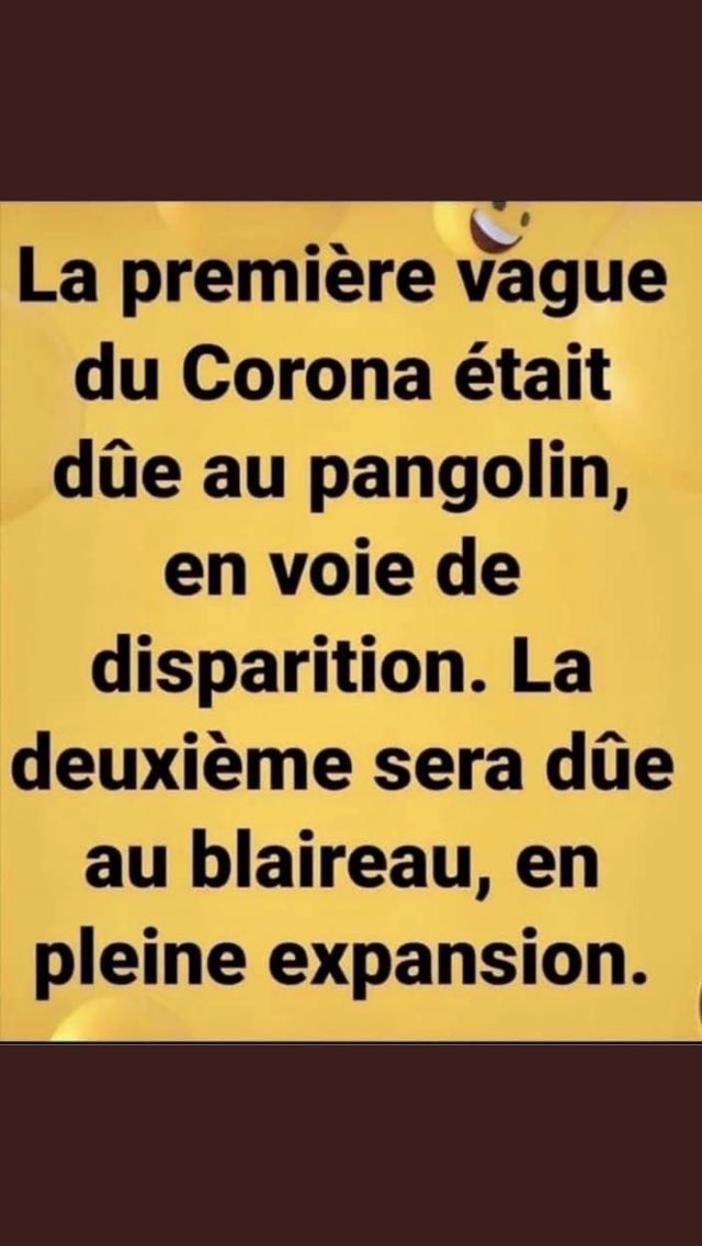 MinipouceLyon's tweet photo. @MARCLANDES40 @Kerckhove16 @LCI C’est aussi pénible que dangereux ces médecins qui se contredisent les uns les autres 😤
Après le #ChloroquineGate nous voilà ds le #MasquesGate ce pays me fatigue 😩😡 https://t.co/ZwnHM7Kl9F