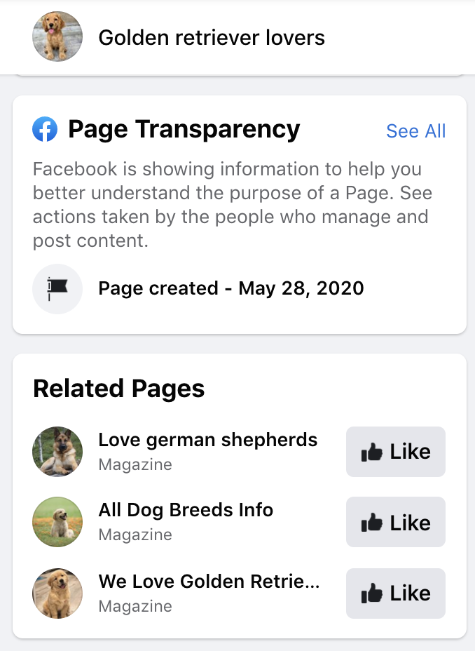 And now 150 pages. It's like fractals: pages about space lead to pages about science which lead to pages about cars which lead to pages about dogs. All identical (all are "magazines"), only subject changes.