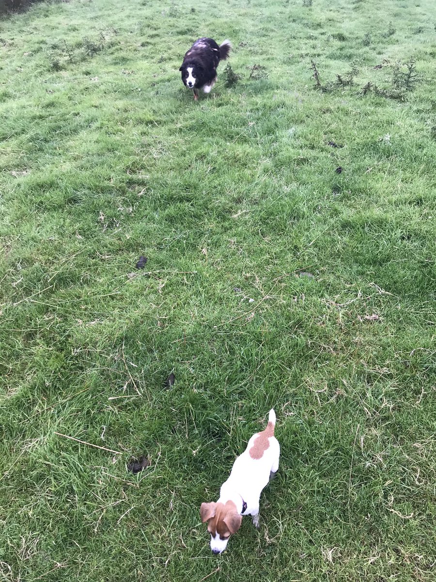 fimalone1 tweet media