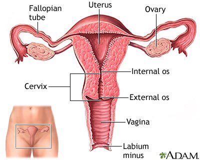 Ladies, if you do have recurrent Vagina infection, then this simple thread is for you trust me! Vagina infection(VI) is simply infection of the Vagina, if not well managed can lead to infertility. Please RT for others.