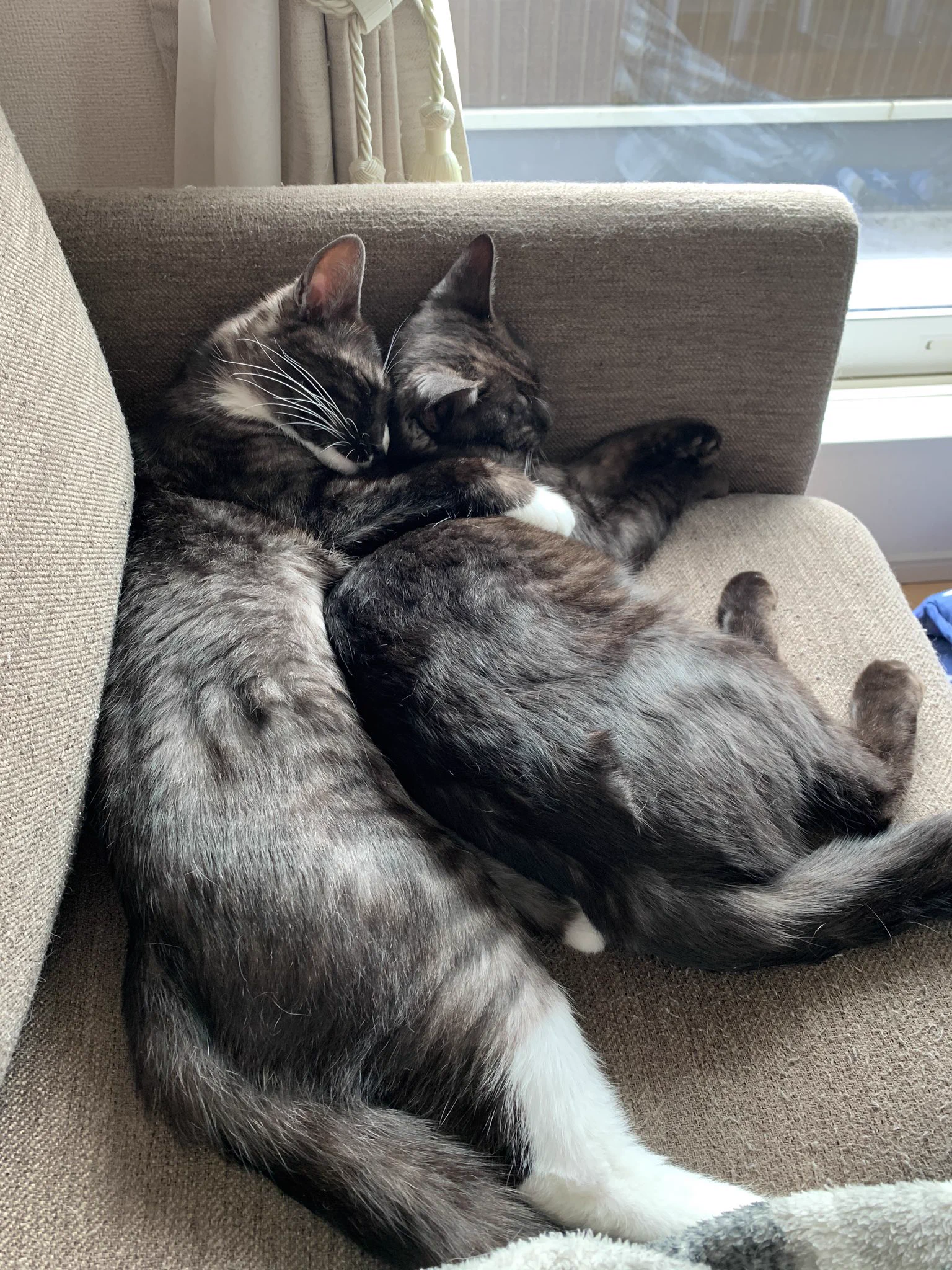 @fuji_ayako ぎゅうううう 