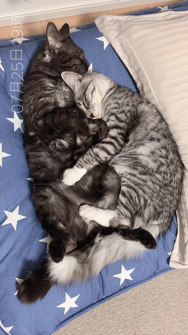 @fuji_ayako ぎゅうううう 