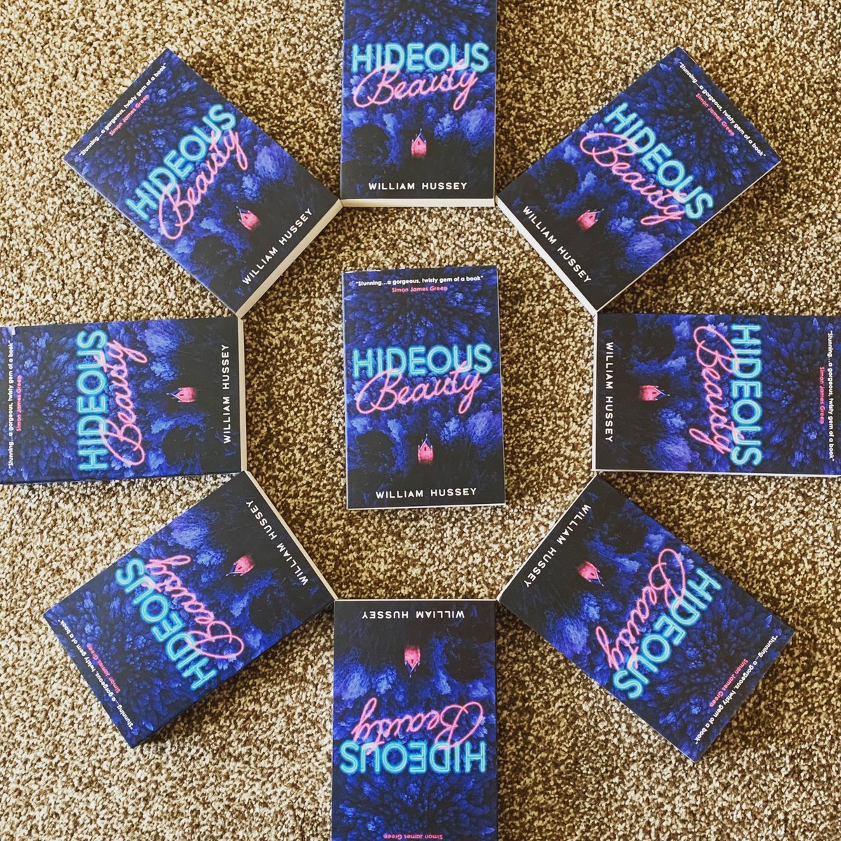 WHusseyAuthor tweet picture