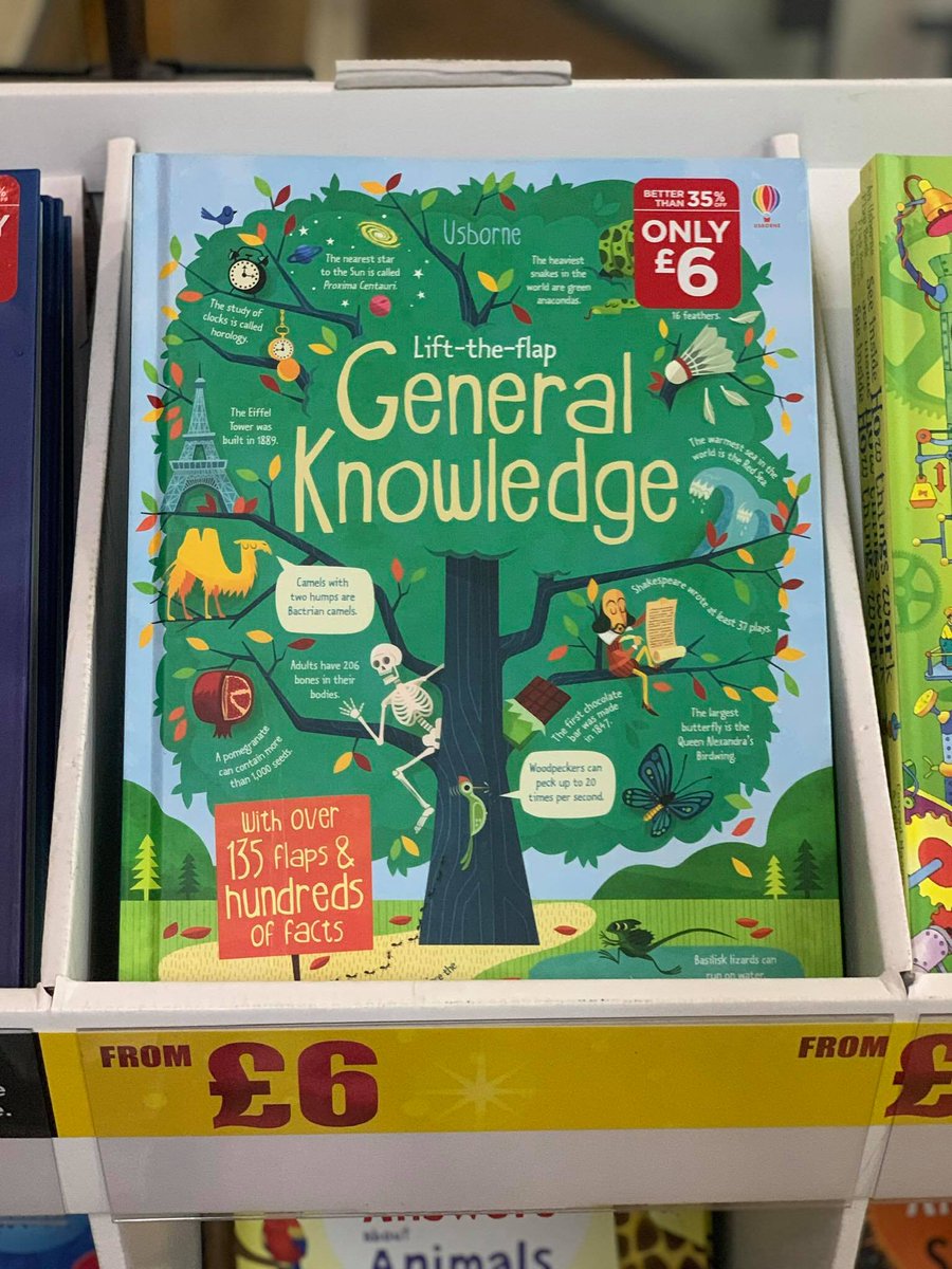 The Stamford Quarter tweet media