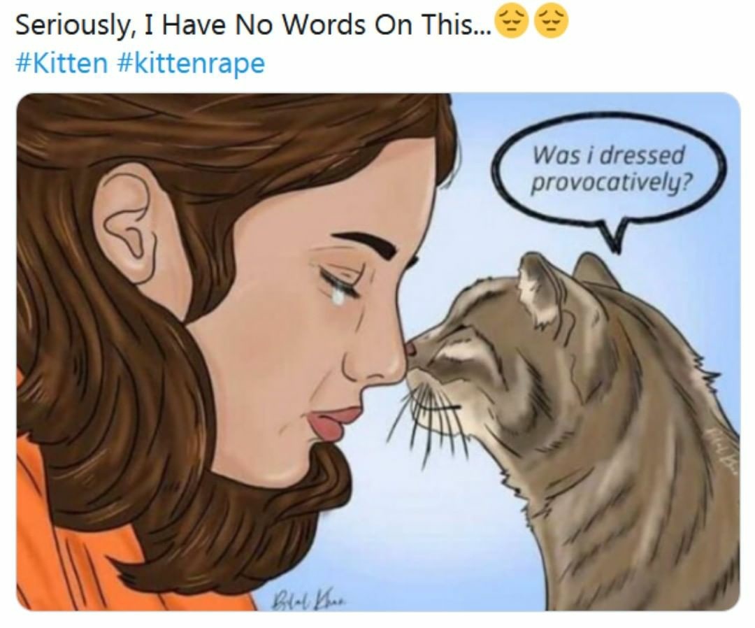 nbaijaz's tweet photo. A kitten raped by 15 yr old boys. How disgusting. We failed as humans  . Poor kitten 🥺🥺.now how will those morons react to this case who always put finger on the rape victims dressing and behaviour ?
#humanitylost #kittenrape  #heartbreaking https://t.co/fDVtvEgahf