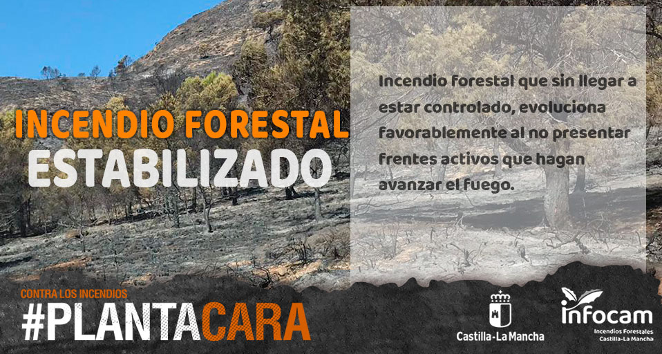 Plan_INFOCAM's tweet photo. ▶️#IFAyna  en #Albacete se encuentra ESTABILIZADO a las 03.20 horas del 31 de julio. 
➡️Continúan las labores de extinción del @Plan_INFOCAM y @AAMM_JCCM con:
📌8 medios terrestres
📌43 efectivos
#IIFF
#PlantaCara
#EresEsencial
ℹ️ Más info:https://t.co/7tr03vnoFV https://t.co/LCx0LLUSkN