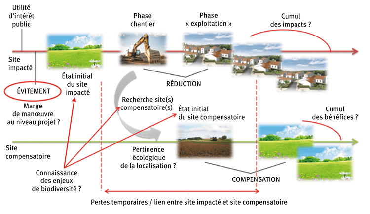 revueSET's tweet photo. #SéquenceERC >>L'Allemagne bénéficie de 30 ans d'expérience de la compensation écologique. Quels retours d'expériences pour la France ? Lire l'article de synthèse @revueSET >> https://t.co/440YWndOth https://t.co/1J1LfZhGoe
