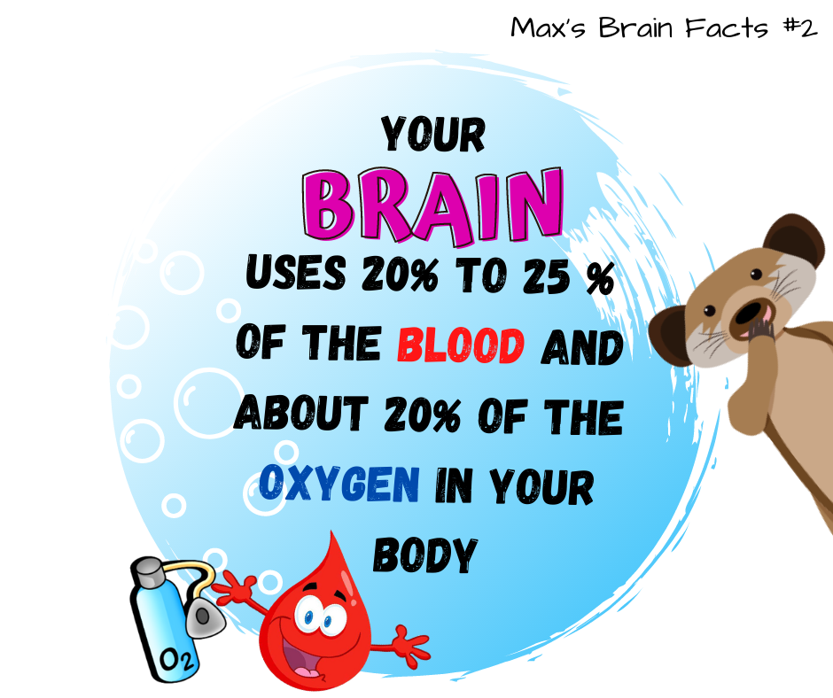 SeymoreMax's tweet photo. Keep your blood flowing, your brain needs it https://t.co/ISk5HrNINj