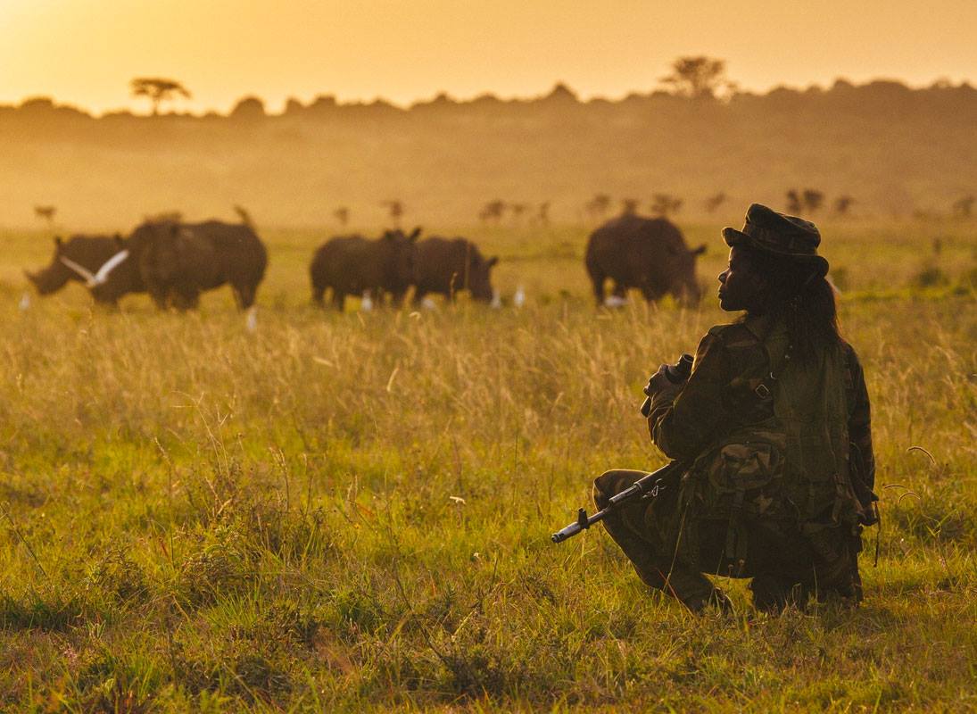 metumilibrary's tweet photo. Today is #WorldRangersDay, a day for special recognition &amp; celebration of the work rangers do to protect the planet’s natural resources as well as honouring rangers killed or injured in the line of duty. 🇰🇪 https://t.co/ViUO6GSeaw
