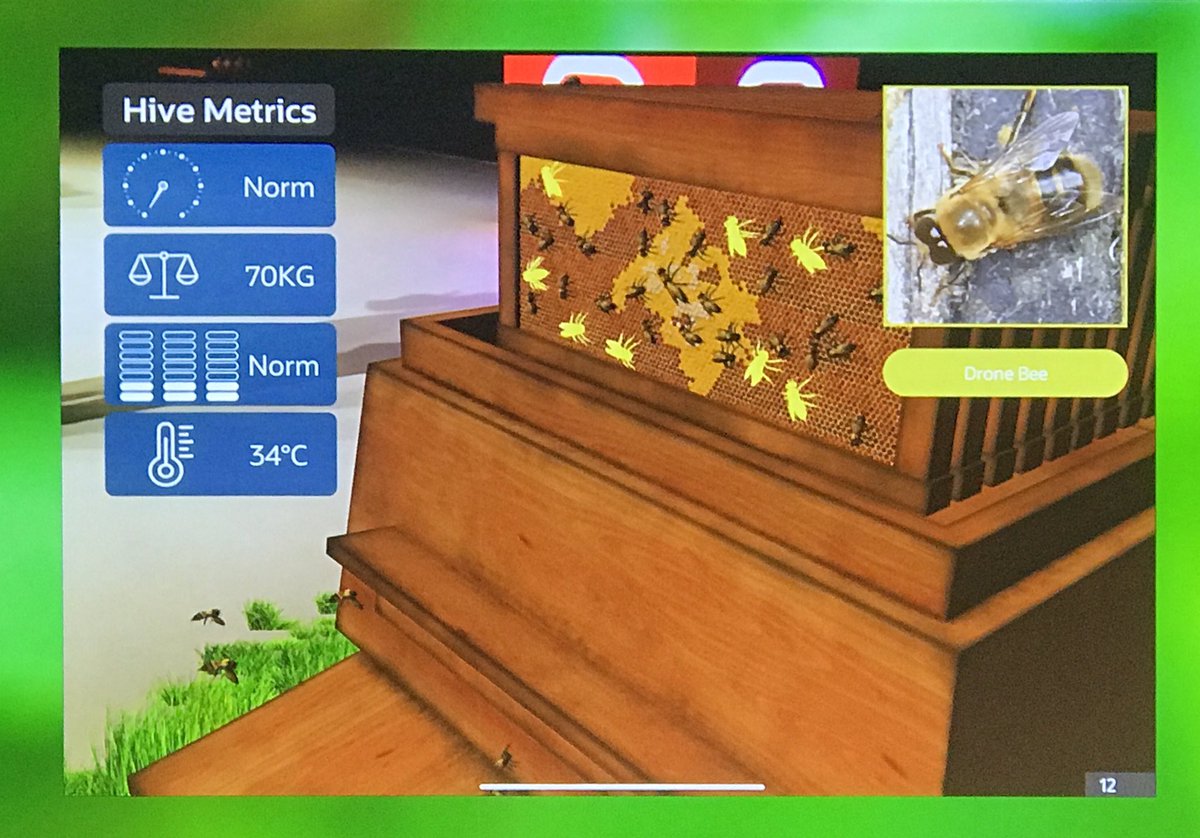 Lxs's tweet photo. @embedded_iot @B4Biodiversity @hive_eyes @Oracle @worldbeeproject In January 2020 invited to attend OpenWorld presentation on beehive project...

used augmented reality to
showcase IoT, AI, integration, collaboration

#WorldBeeProject

{ creating quite a buzz... 🐝 }

(my snaps; alas cannot locate any video recording of this talk) https://t.co/uiHC6UFmSF