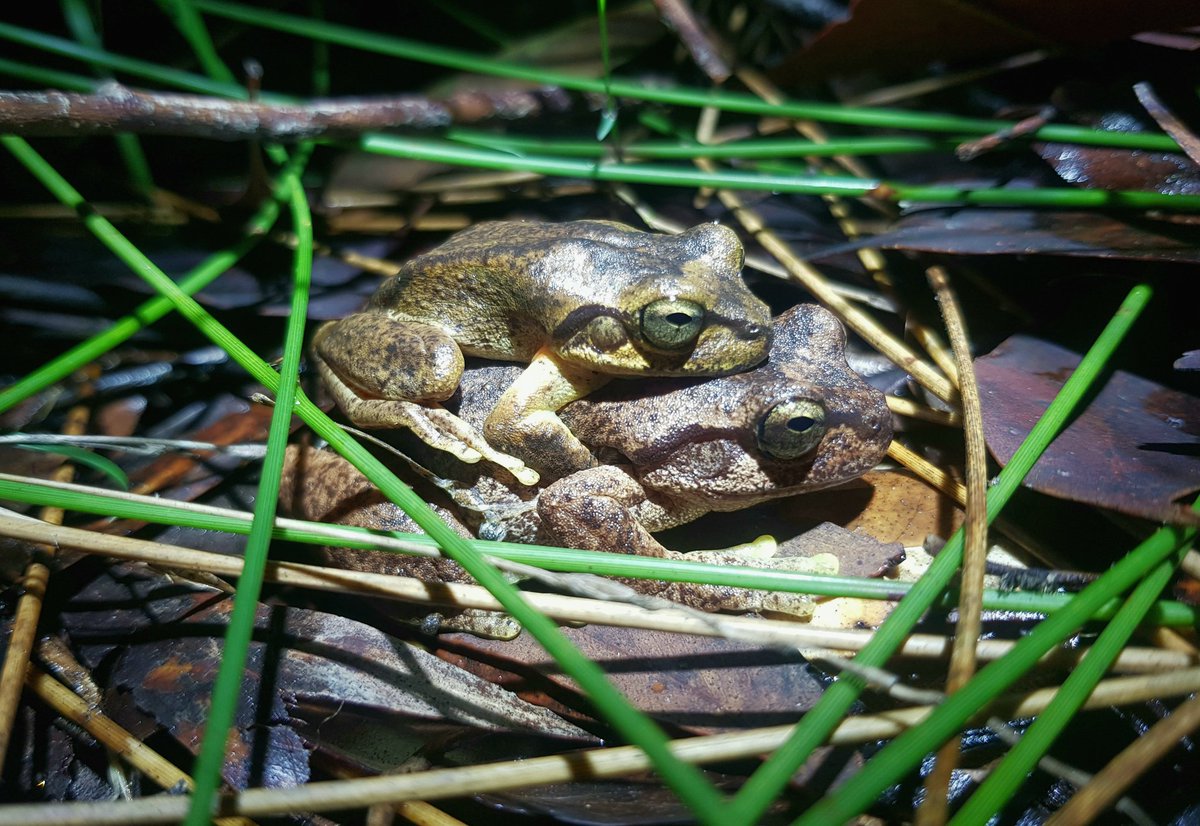 Sarah Stock tweet media