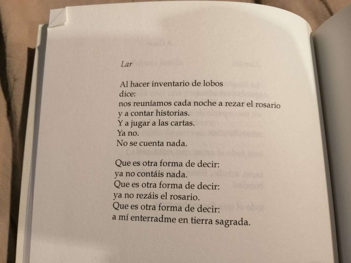 Laura Casielles tweet media