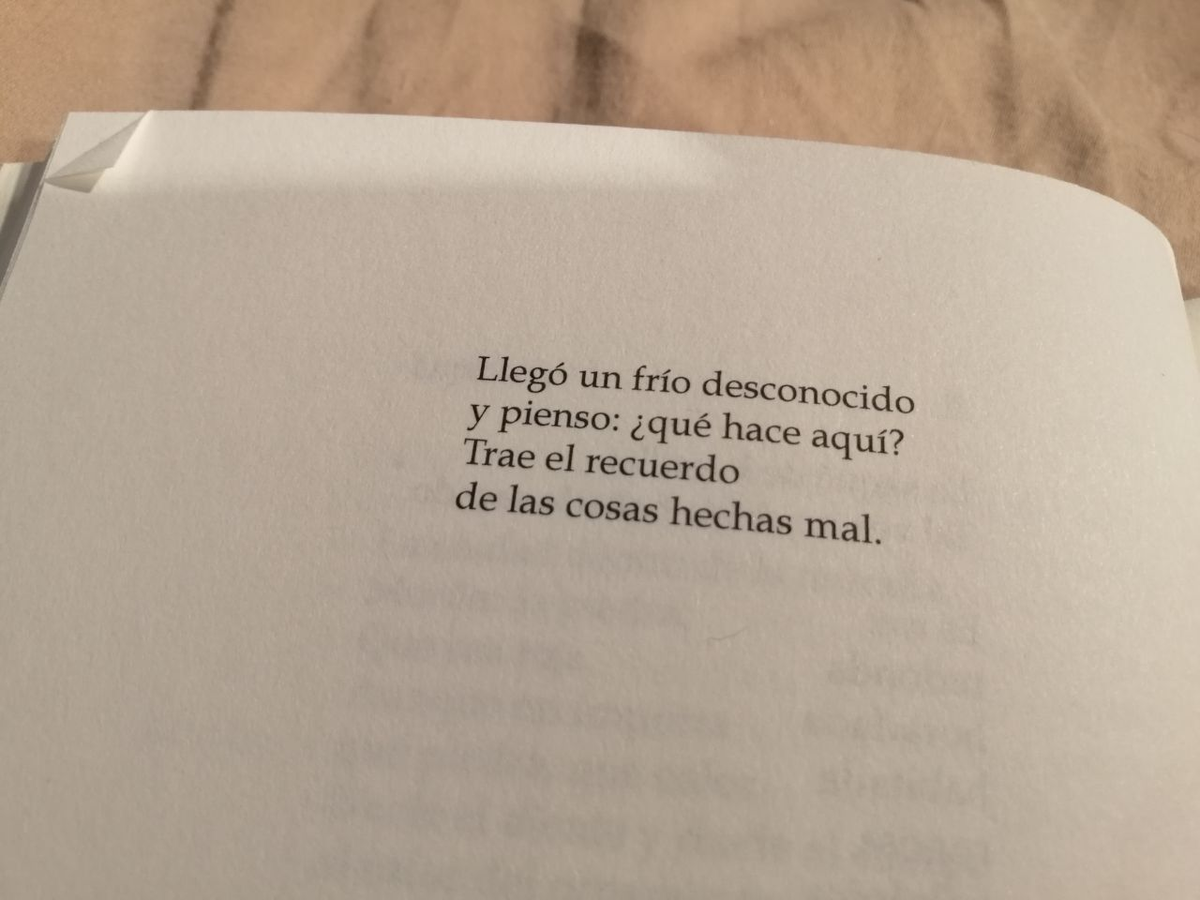 Laura Casielles tweet media