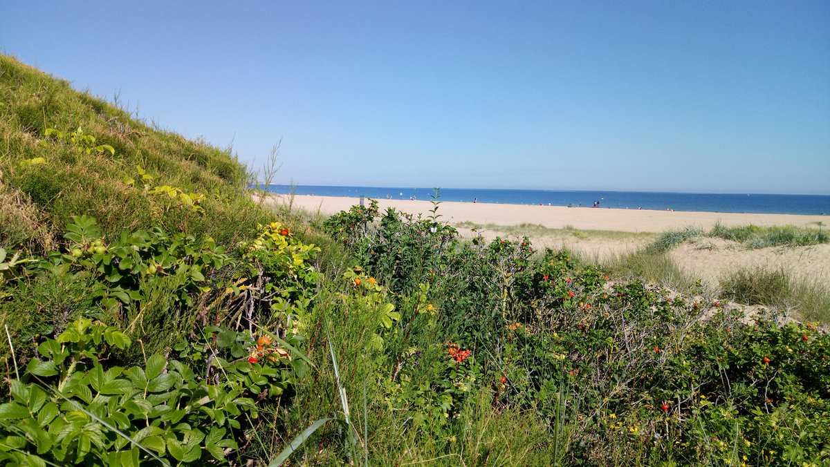 TravelsAndLove's tweet photo. #Ouistreham en #Normandie 😍
#FranceMagique #MagnifiqueFrance #EnFranceAussi #PromenadeEnFrance #BaladeSympa #TravelAndLove https://t.co/uL1MIyfBJR