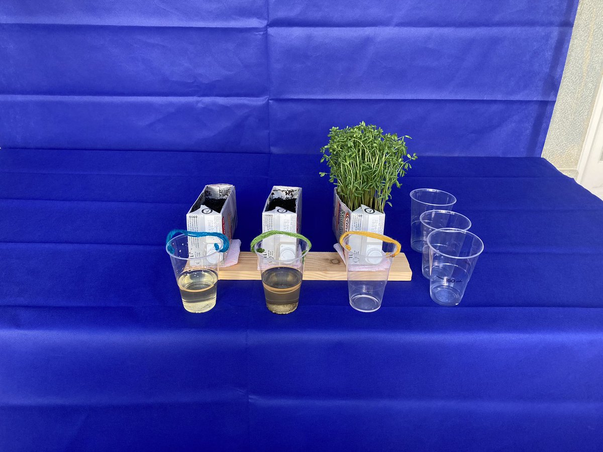 LabinaBox_IGC's tweet photo. Temos estado arredados das redes sociais mas muito atarefados. Notícias em breve! #ciencia #educacao #cienciaexperimental #gulbenkian // We have been away from social media but very busy. We will have news soon! #science #education #experimentalscience https://t.co/FefDrO8Ar2