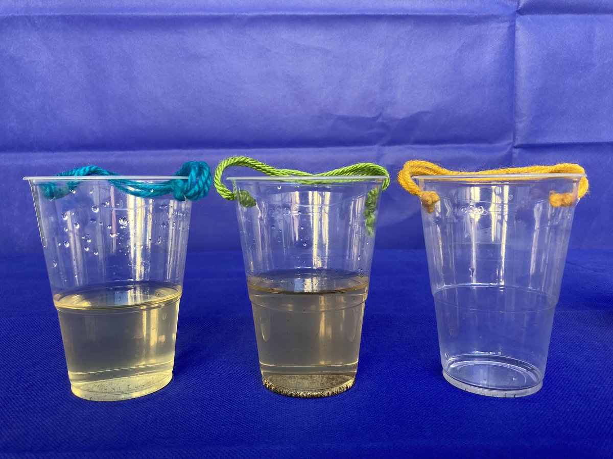 LabinaBox_IGC's tweet photo. Temos estado arredados das redes sociais mas muito atarefados. Notícias em breve! #ciencia #educacao #cienciaexperimental #gulbenkian // We have been away from social media but very busy. We will have news soon! #science #education #experimentalscience https://t.co/FefDrO8Ar2