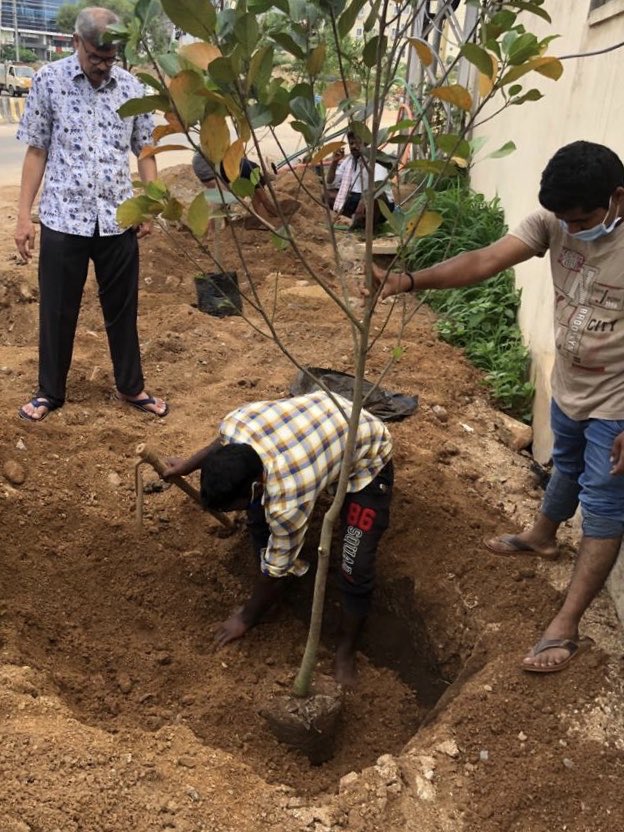 NISGsmartgov's tweet photo. June and July saw our #Hyderabad staff take up plantation drives around our office location. Here’s a look at the effort on the ground. https://t.co/Xzn0lmrYrW #workatnisg #earthpledge #communityengagement https://t.co/uJr4iIH8iY