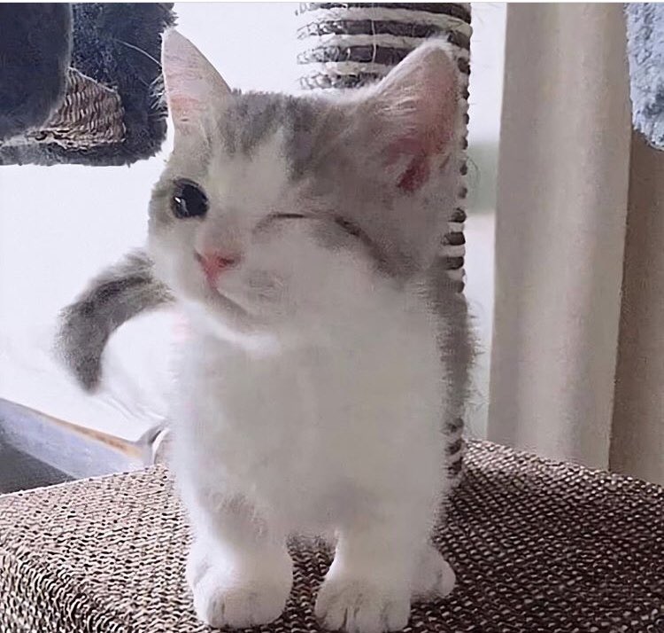 Ne kadar uzakta olursak olalım hep aynı gökyüzünü paylaşmış olacağız güzellik..