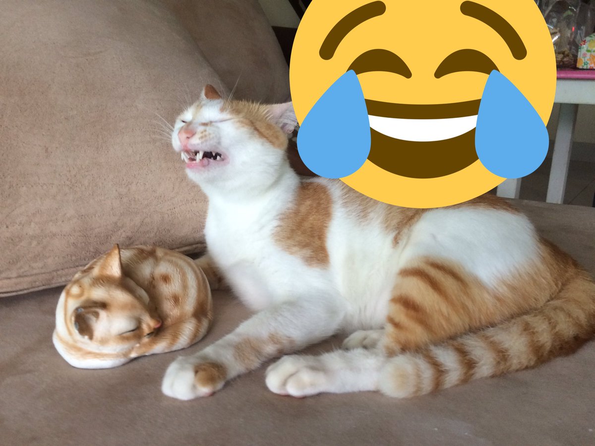 โซฟาที่นอนคุณชายข้างล่างที่นอนของเย็นให้รู้บ้างไผเป็นไผหัวเราะถูกใจพะแนงเขาล่ะ😹😹😹