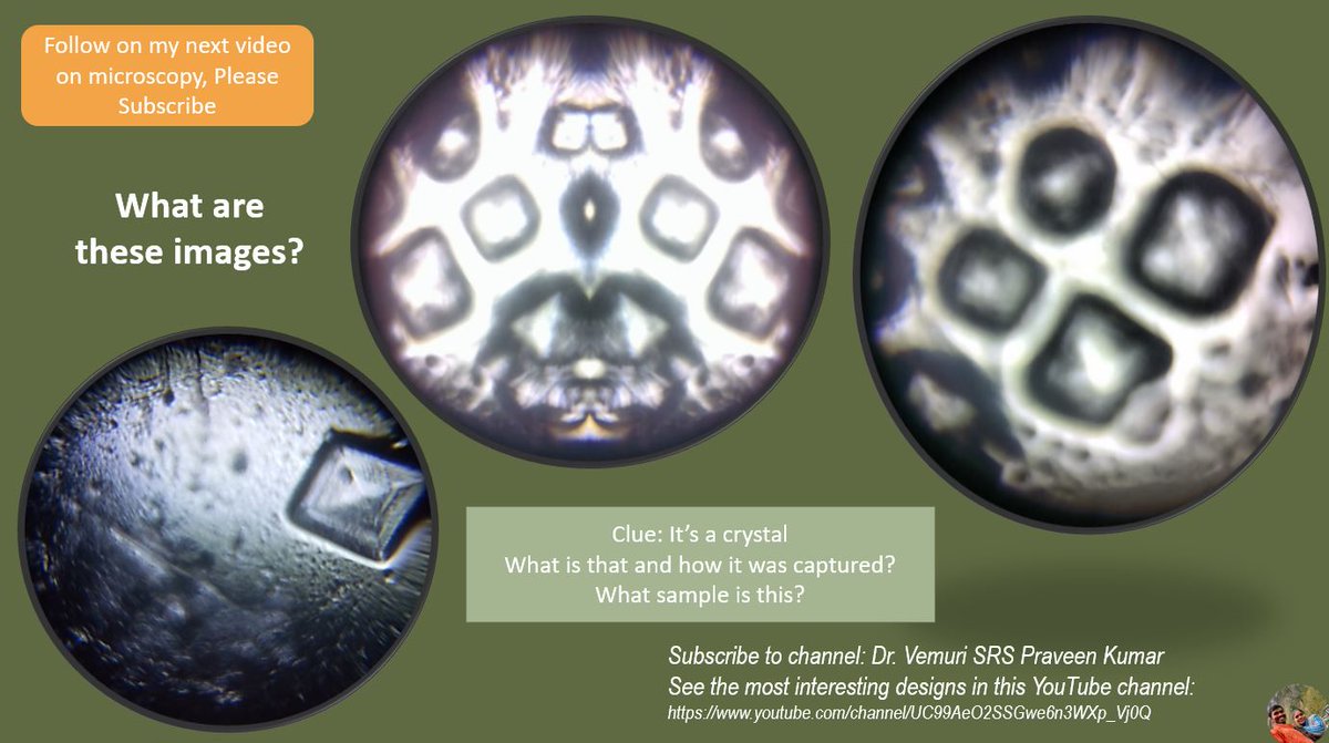 Microscopy Image contest Part 9 docs.google.com/forms/d/e/1FAI…
