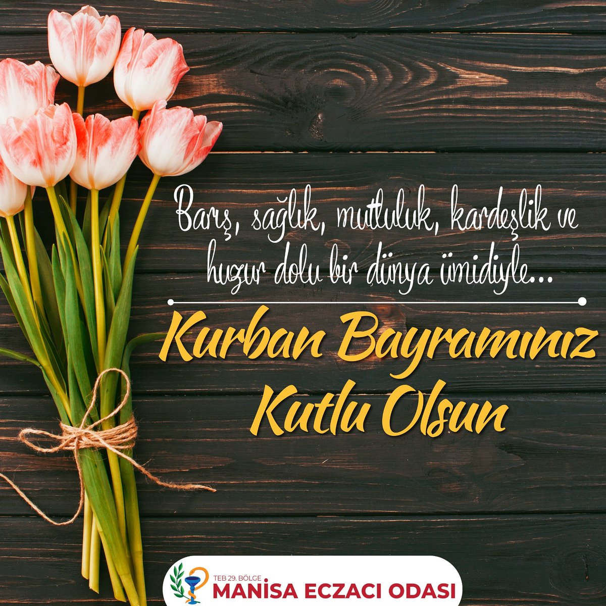 Devrim BALI (@devrimbali) on Twitter photo 