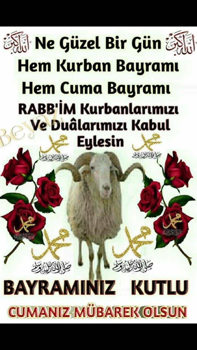 Cevdet SAYDAM (@cevdet_saydam) on Twitter photo 