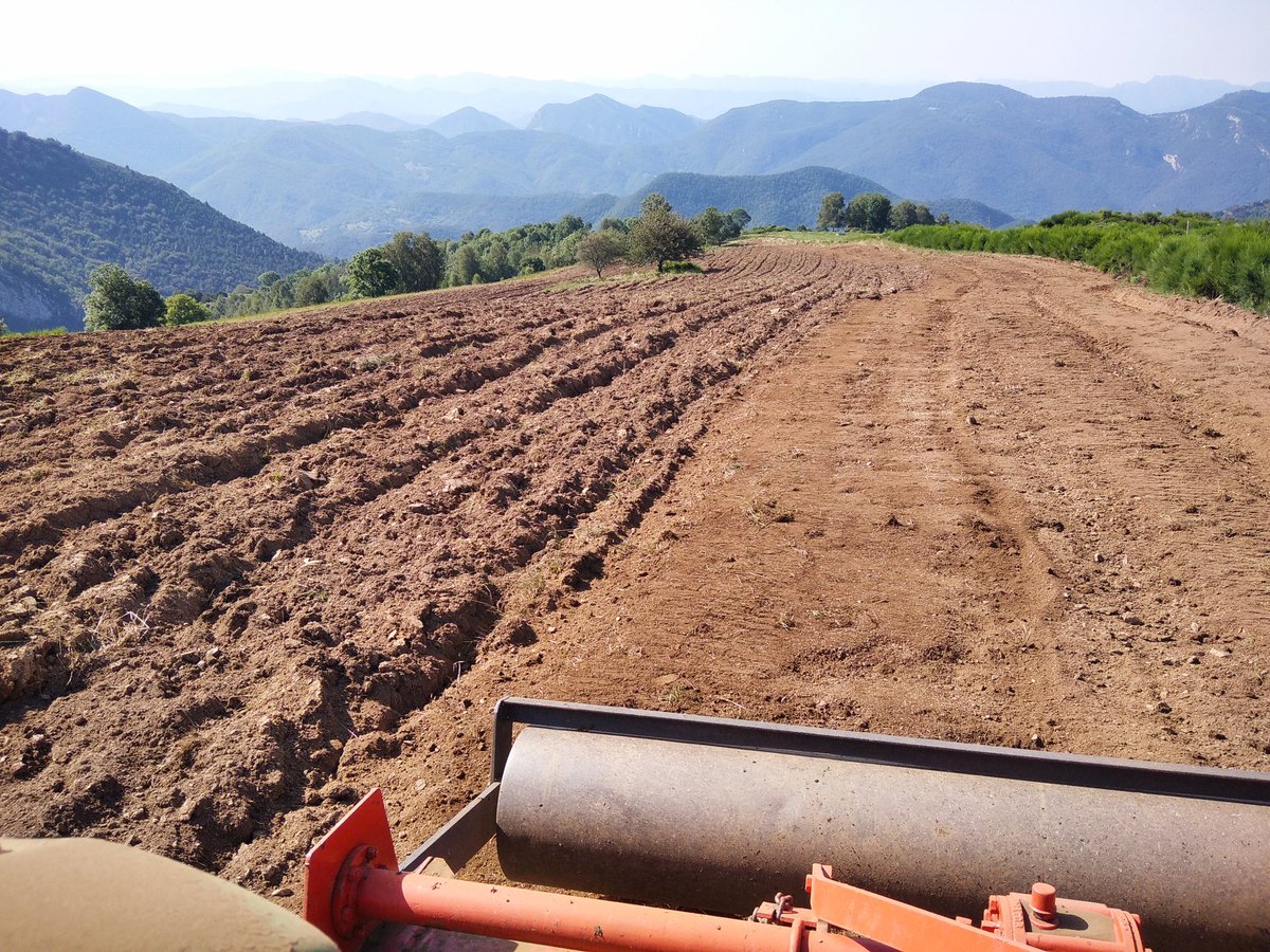 xaiecologic's tweet photo. Treballem treballem, que la civada, el ray grass, la veça i el fenc guanyarem!
#Fresar
#Despedregar
Fot-li fort, camarada John!
Visca la terra lliure de falgueres, rocs i senglars!
És la guerra!
#ResistènciaRural
#RuralismeOBarbàrie
Canyaaaa a tot! 🚜🚜🤟🤟 https://t.co/PHobwZ4jJD