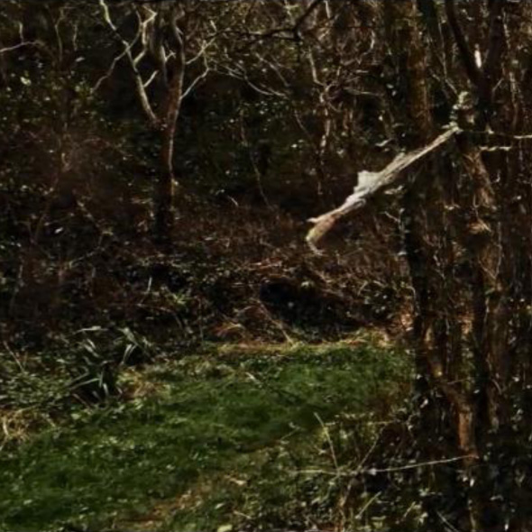 NPtheatre's tweet photo. Get set for a weekend walk accompanied by a 20 minute #monologue. Let #MichaelPennington guide you as the voice of the path. Here #GrantGee's film gives a glimpse of the #WestCornwall setting for the latest #PlacePrints episode Nemeton by #DavidRudkin.  https://t.co/oeqsNLcU1y https://t.co/dIkMxZdix0