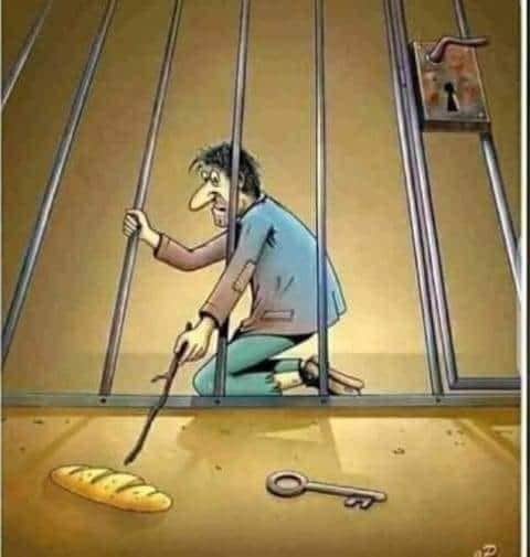 Wahidbaba4's tweet photo. @Masratzahra @tonyashai @KashmirLife this picture speaks https://t.co/5dFamFXVf0