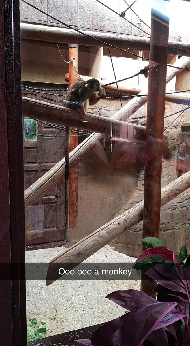 Charlie___Lock's tweet image. 