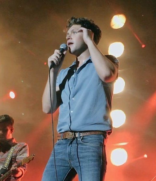 Niall Horan as The Boss a thread that he would LOVE but won't see it.