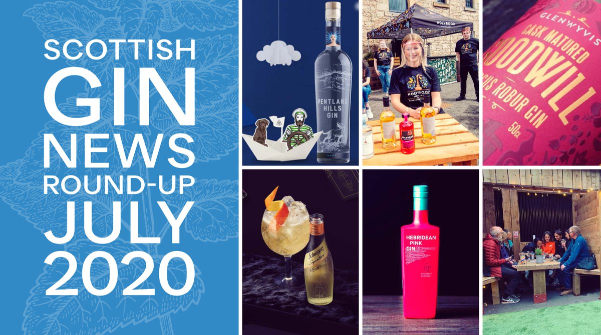 Our July news round-up is online here - thegincooperative.com/scottish-gin-n…. Featuring new Scottish Gins, outdoor #ScottishGin spaces, charity auctions, awards news &amp; some #ISGD updates

#gin #news #discoverscottishgin #lovescottishgin #experiencescottishgin #scotland #enjoyresponsibly