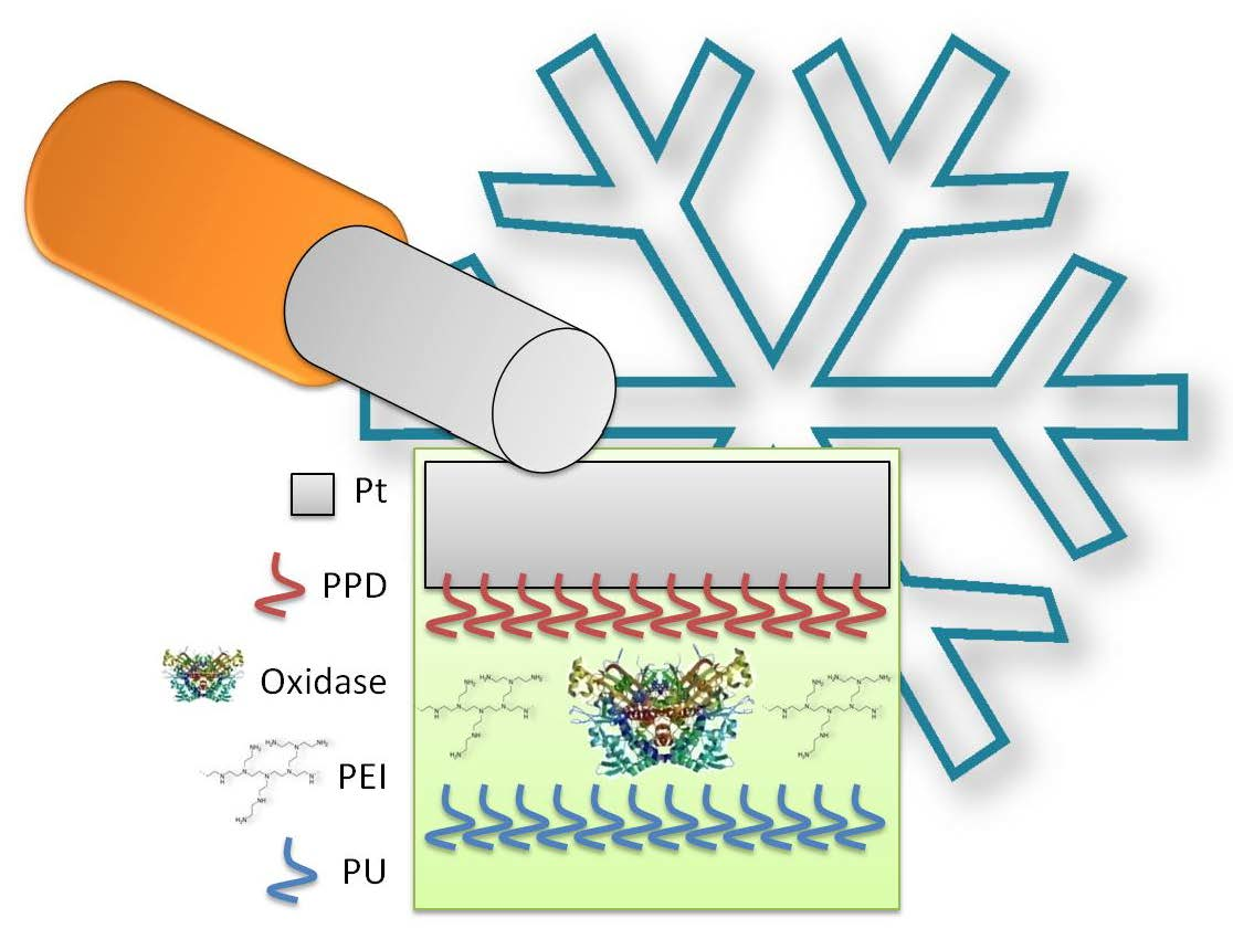 Sensors_MDPI's tweet photo. #LowTemperatureStorage Improves the #OverTimeStability of Implantable #Glucose and #Lactate #Biosensors
by Giulia Puggioni, Giammario Calia, Paola Arrigo, et al. @GaiaRocchitta @unissTweet
👉https://t.co/AESZwnNx5l https://t.co/m95SVGf1ZO