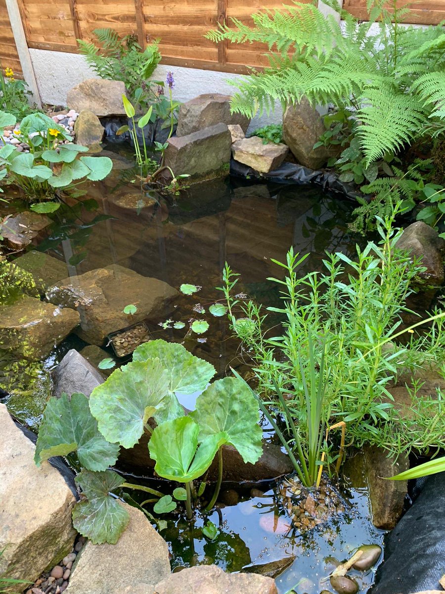 Kimberley Simpson tweet media