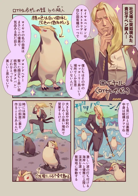 ペンギン擬人化創作キングのライバル(? ロイヤルペンギン氏のこと#ペン擬人 
