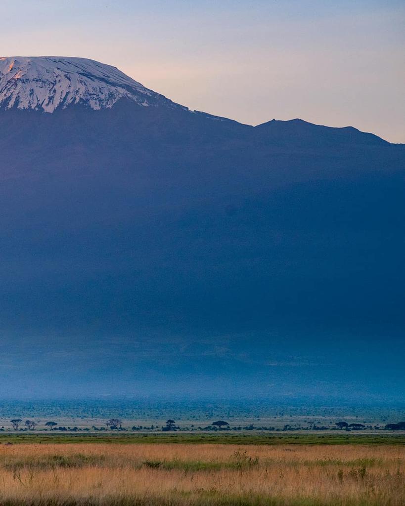 Kenya Pics Even The Mighty Tuskers Of The African Savannah Are Humbled In Front Of Mount Kilimanjaro Amboseli National Park Photo By Rupayan Datta T Co 2hccthk1t0