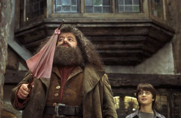 Harry_Potter_TM's tweet photo. 31 de julio de 1991: Hagrid lleva a Harry a su primera visita al Callejón Diagon. https://t.co/lI1AQm4QYW