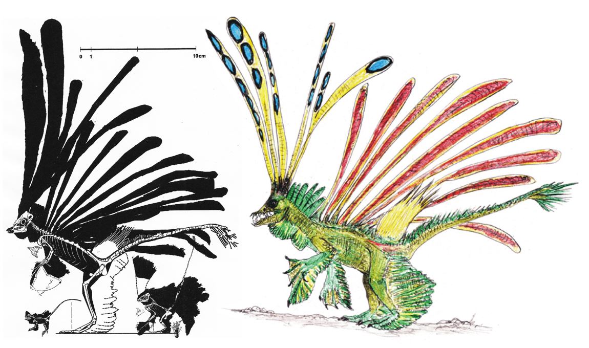 TetZoo's tweet photo. The newest article at #TetZoo .. Why the World Has to Ignore David Peters and https://t.co/ejIkqk1Wti ... just hit 100 comments ... https://t.co/WRYd2JT014 #evolution #reptiles #blogging #PetersProblem https://t.co/WMfekQsKBa