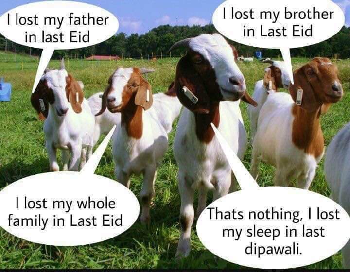 AkshayNEdake's tweet photo. @PetaIndia Is this your Bakra?!
#EidMubarak #LiberalBakra #bloodlesseid #AllahDoesNotNeedQurbani https://t.co/Fcadm5XqlE