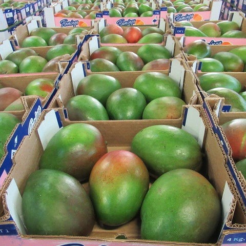 masterfreshuk's tweet photo. Today offers

#grocerystore #vegetables #bhfyp #fruit #greengrocer #wholesale
#freshproduce #foodie #farmersmarket #fresh #foodservice #shoplocal #seasonalproduce #vegan #food #market #in #localproduce #marketfresh #healthyfood #healthy #fruit #farmtotable #buylocal #organic https://t.co/L1xUzedFU2