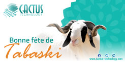 Cactus_Tech's tweet image. Excellente fête de #Tabaski à toute la communauté musulmane.