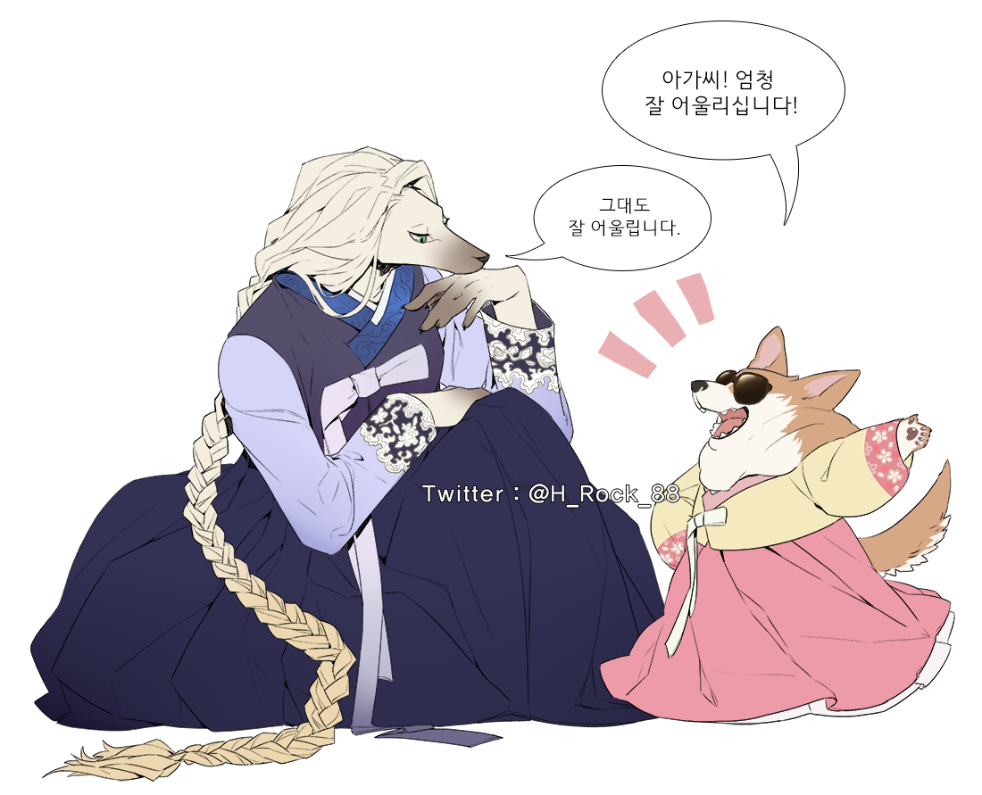 웰시 코기 경호원과 아프간 하운드 아가씨
좋아하는 친구들은 한복 꼭 입혀줍니다( 