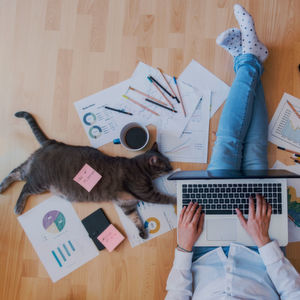 André Nye tweet media