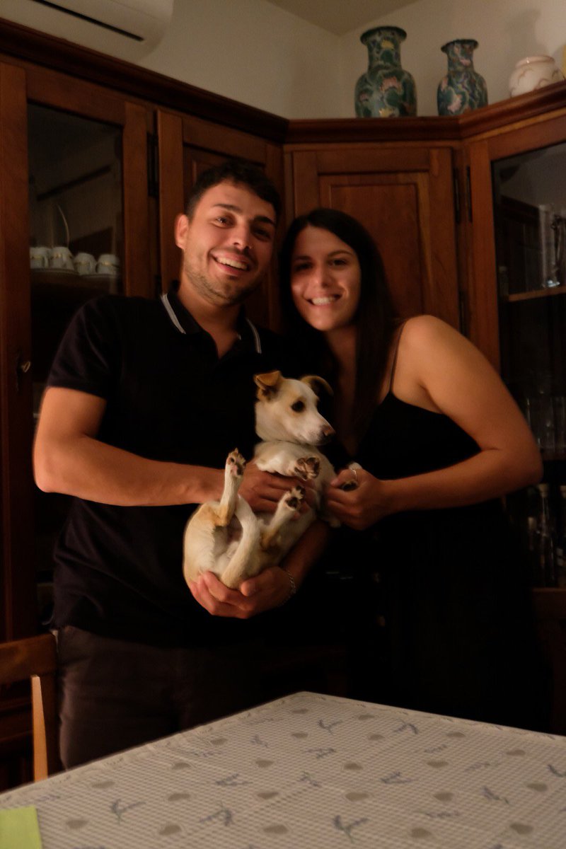 cristibatta's tweet photo. Toby zero fotogenico https://t.co/EgBXPvhw0n